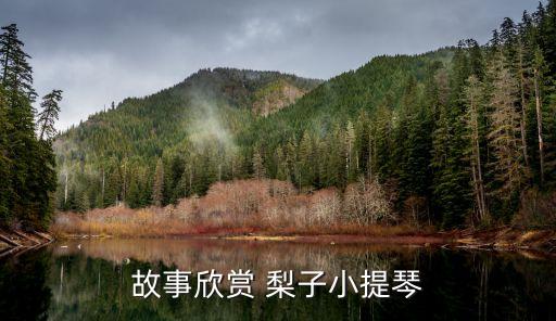 梨子提琴，小雞聽音樂會(huì)有利于它們成長(zhǎng)嗎