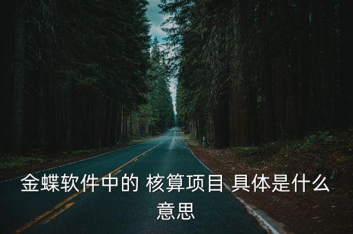 核算項目，金蝶軟件中的 核算項目 具體是什么意思