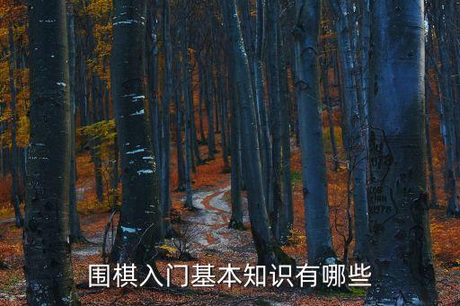 圍棋入門(mén)基本知識(shí)口訣，圍棋中有哪些用于實(shí)戰(zhàn)的口訣