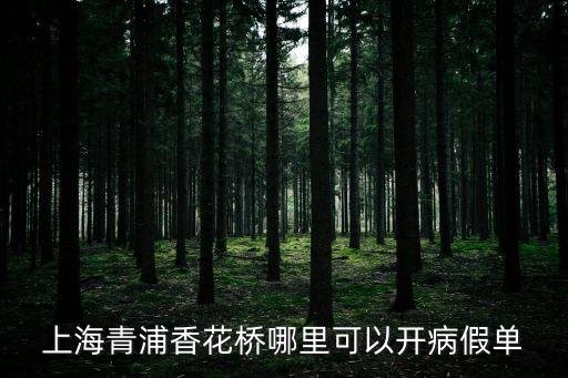 上海市開(kāi)病歷單，哪里可以開(kāi)上海病假單