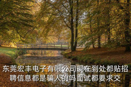 東莞宏豐電子有限公司現在到處都貼招聘信息都是騙人的嗎面試都要求交