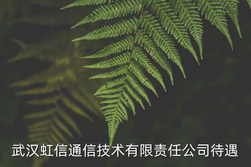 上海市虹信通信有限公司怎么樣，武漢虹信通信技術(shù)有限責(zé)任公司待遇