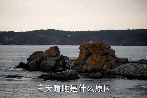 白天嗜睡是什么原因