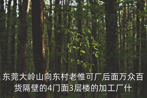 東莞大嶺山向東村老惟可廠后面萬眾百貨隔壁的4門面3層樓的加工廠什