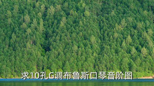 布魯斯口琴音階圖，G調(diào) 布魯斯口琴 的音階分布圖