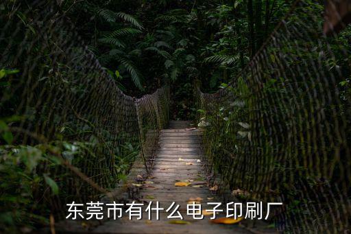 東莞合美電子，東莞電子配件