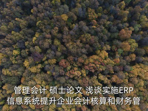 管理會計 碩士論文 淺談實施ERP信息系統提升企業會計核算和財務管