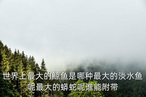 世界上最大的鯨魚是哪種最大的淡水魚呢最大的蟒蛇呢誰能附帶