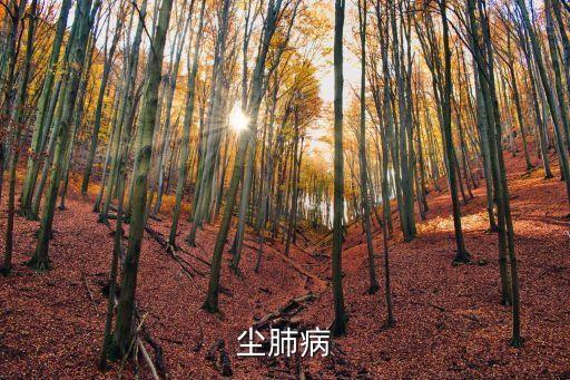塵肺病