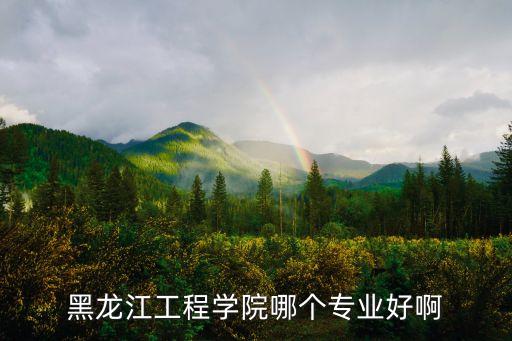 黑龍江工程學(xué)院哪個(gè)專業(yè)好啊