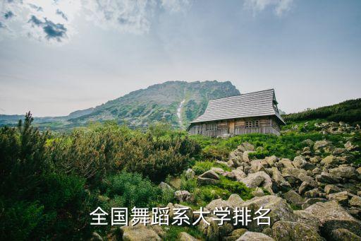 舞蹈學院，全國舞蹈系大學排名