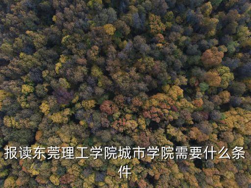 報讀東莞理工學院城市學院需要什么條件