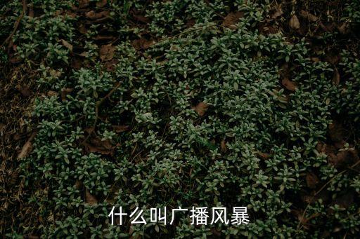 廣播風(fēng)暴，網(wǎng)絡(luò)中所說(shuō)滴廣播風(fēng)暴是什么意思