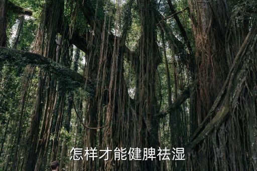 怎樣才能健脾祛濕