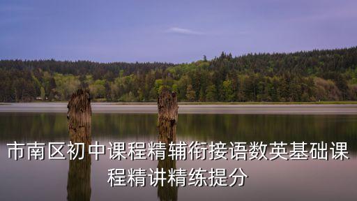 上海市市南中學(xué)數(shù)學(xué)錢慧，市南區(qū)初中課程精輔銜接語數(shù)英基礎(chǔ)課程精講精練提分