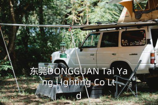 東莞DONGGUAN Tai Yang Lighting Co Ltd