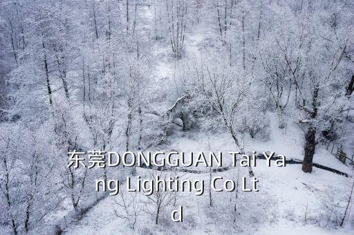 東莞DONGGUAN Tai Yang Lighting Co Ltd