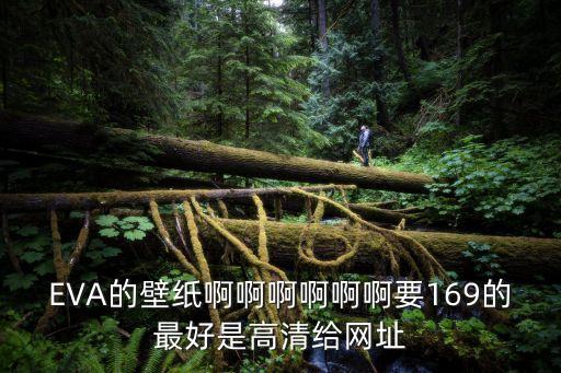 eva壁紙，幫我找下EVA的壁紙大圖