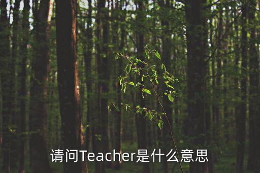 teather，請(qǐng)問(wèn)Teacher是什么意思