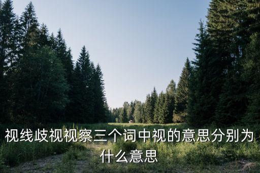 視線歧視視察三個詞中視的意思分別為什么意思
