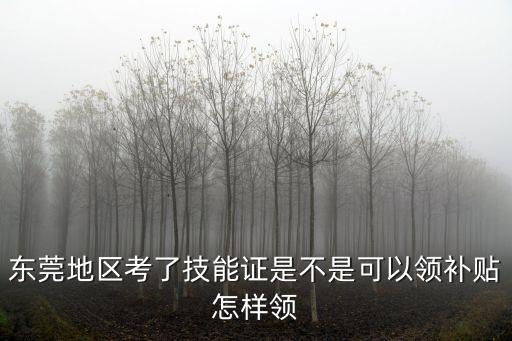 東莞地區(qū)考了技能證是不是可以領(lǐng)補(bǔ)貼怎樣領(lǐng)