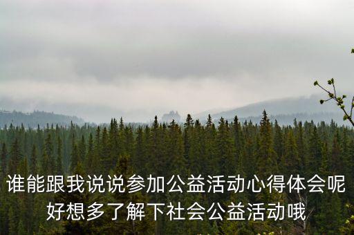 公益活動(dòng)體驗(yàn)，關(guān)于參加公益活動(dòng)的體會(huì)