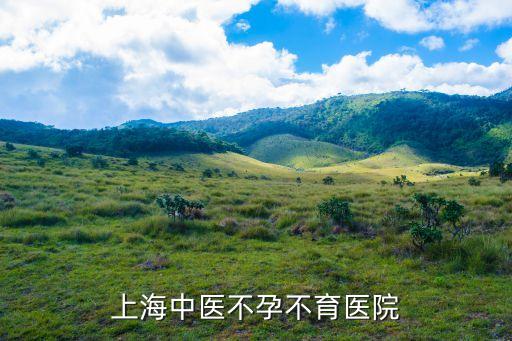 上海中醫不孕不育醫院