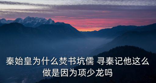秦始皇為什么焚書坑儒 尋秦記他這么做是因為項少龍嗎