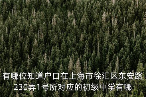 上海市東泉路對口中學，上海浦東新區(qū)的博三小區(qū)對應的中學是什么