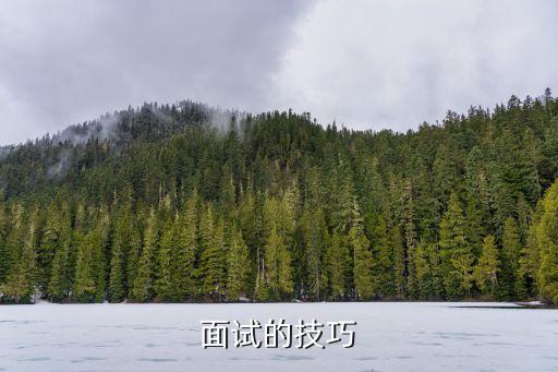 面試技巧培訓，面試培訓的問題
