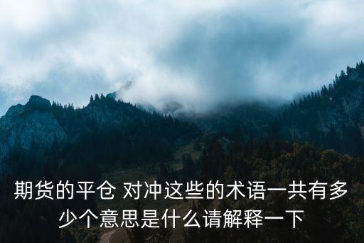 期貨的平倉 對沖這些的術語一共有多少個意思是什么請解釋一下