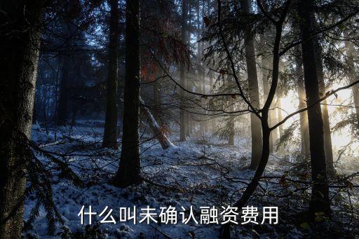 未確認融資費用，什么叫未確認融資費用
