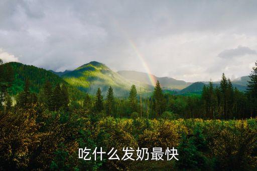 吃什么發(fā)奶最快