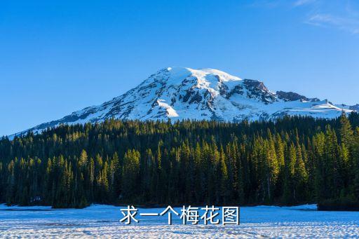 梅花圖，關于梅的圖片