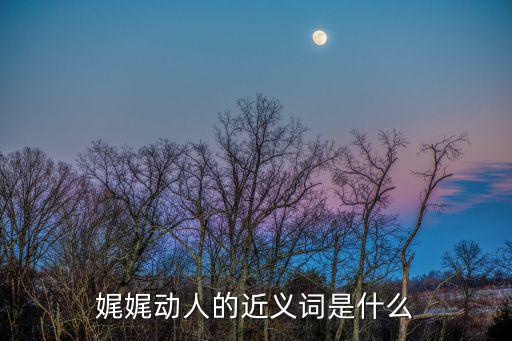 娓娓道來的近義詞，娓娓動人的近義詞是什么