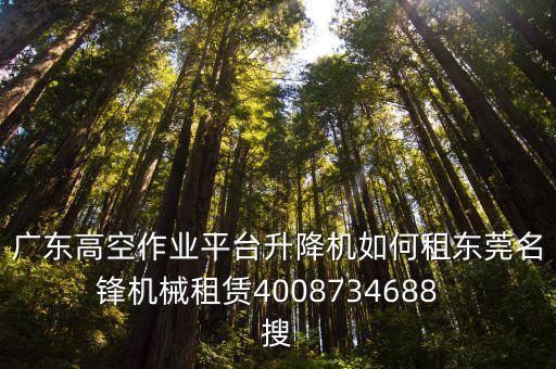 廣東高空作業(yè)平臺升降機如何租東莞名鋒機械租賃4008734688  搜