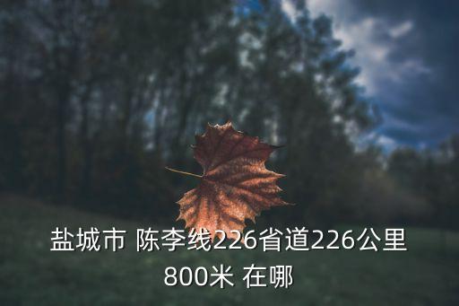 上海市美菜三倉(cāng)，鹽城市 陳李線226省道226公里800米 在哪