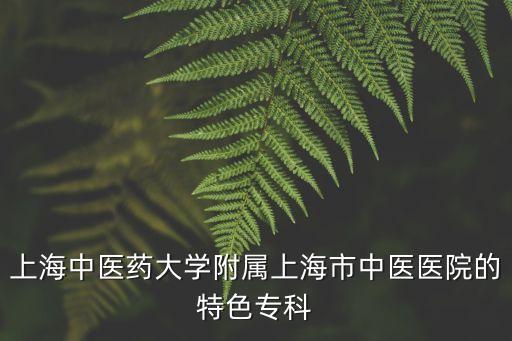 上海中醫藥大學附屬上海市中醫醫院的特色專科