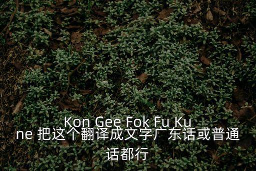 Kon Gee Fok Fu Kune 把這個(gè)翻譯成文字廣東話或普通話都行