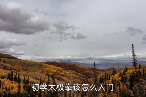 初學(xué)太極拳該怎么入門