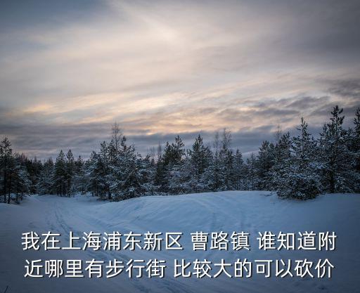 我在上海浦東新區 曹路鎮 誰知道附近哪里有步行街 比較大的可以砍價