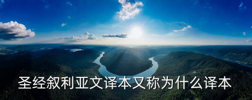 譯本，官方譯本啥意思