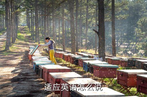 適應英文，適應新環境用英語怎么說