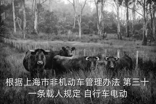 上海市騎單車交規，根據上海市非機動車管理辦法 第三十一條載人規定 自行車電動