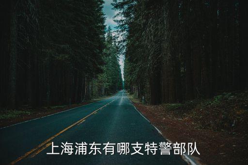 上海市特警中隊，想知道上海市 803特警 在哪