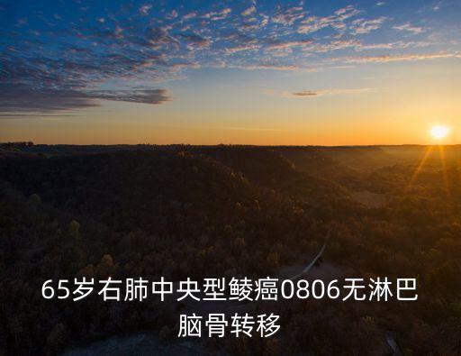 上海市肺科醫院病理科謝醫生，放射診斷兩肺紋理略增多 左下肺小結節影