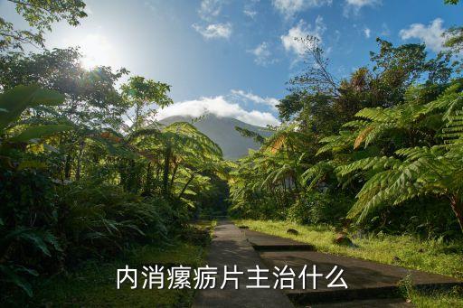 內消瘰疬片主治什么