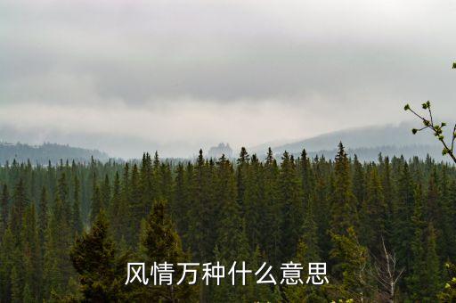 風(fēng)情萬種什么意思，在青海高原一株柳中風(fēng)情萬種什么意思