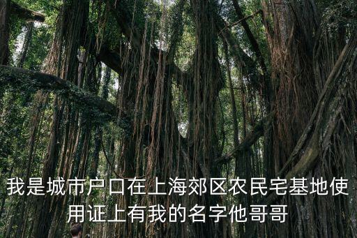 上海市農村宅基地使用證注銷，村里可以注銷宅基地證嗎