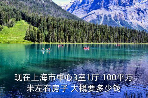 上海市中心的小房子，上海市中心最新新房房價